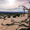 Vallée de la mort : récupérer de l'eau dans un lieu à 7% d'humidité