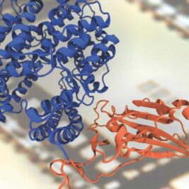 Le supercalculateur qui ouvre de nouveaux horizons en biophysique