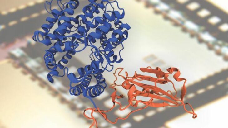 Le supercalculateur qui ouvre de nouveaux horizons en biophysique