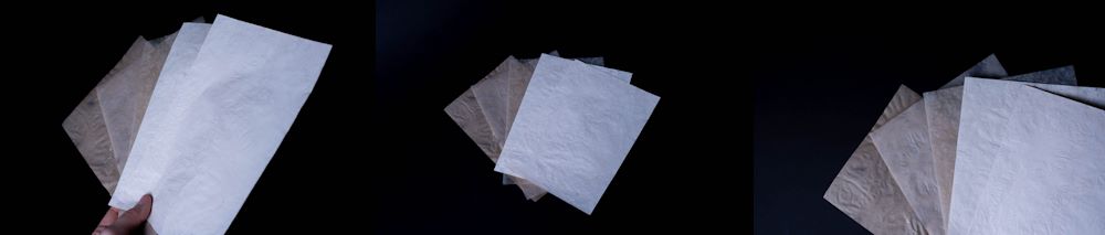 Treeless Pack : La cellulose sans couper un seul arbre 3