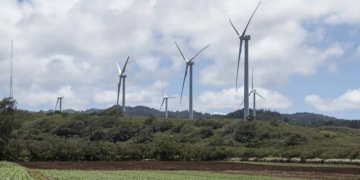 D'où vient l'optimisme renouvelé dans l'industrie éolienne américaine?