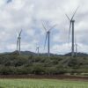 D'où vient l'optimisme renouvelé dans l'industrie éolienne américaine?