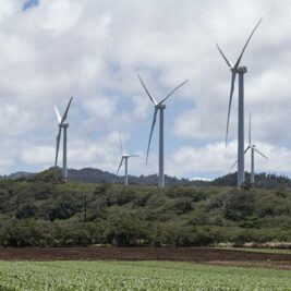 D'où vient l'optimisme renouvelé dans l'industrie éolienne américaine?