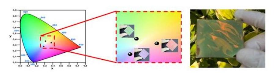 Moins de 5% de perte : l'évolution colorée de l'énergie solaire 3