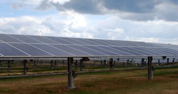 Terres agricoles du Tennessee : sacrifiées sur l'autel de l'énergie solaire ?