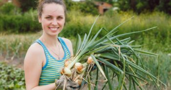 Le secret des foyers britanniques pour réduire leur gaspillage alimentaire