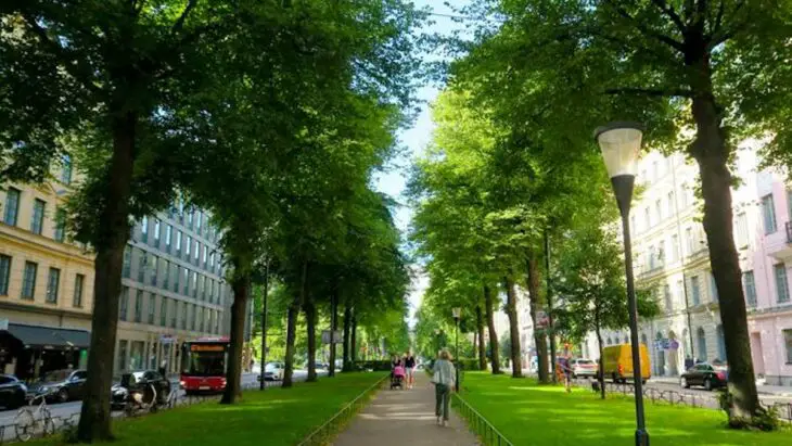 La nature au cœur des villes : une solution pour réduire les émissions de carbone