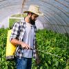 Pulvérisateurs électriques : l'arme fatale pour éliminer les nuisibles de votre jardin