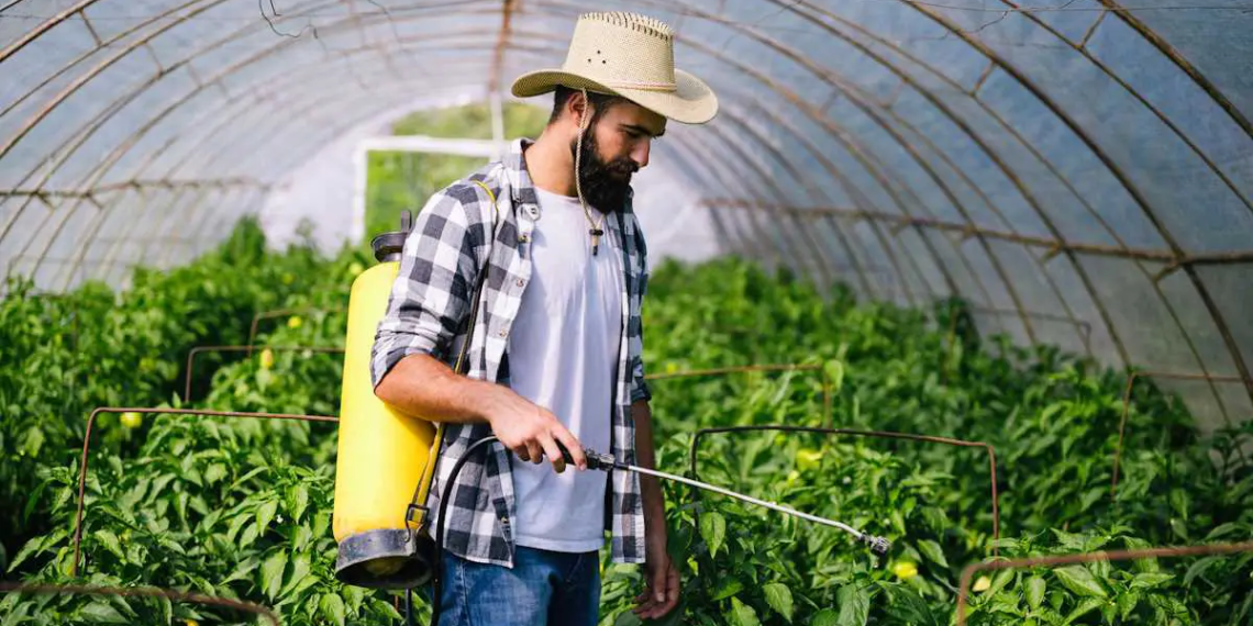 Pulvérisateurs électriques : l'arme fatale pour éliminer les nuisibles de votre jardin