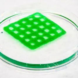 Imprimante 3D et bactéries : une combinaison surprenante pour purifier l'eau