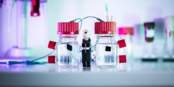Des bactéries produisent de l'électricité à partir d'eaux usées