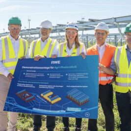 Comment l'énergie solaire et l'agriculture peuvent coexister sur un même terrain ?