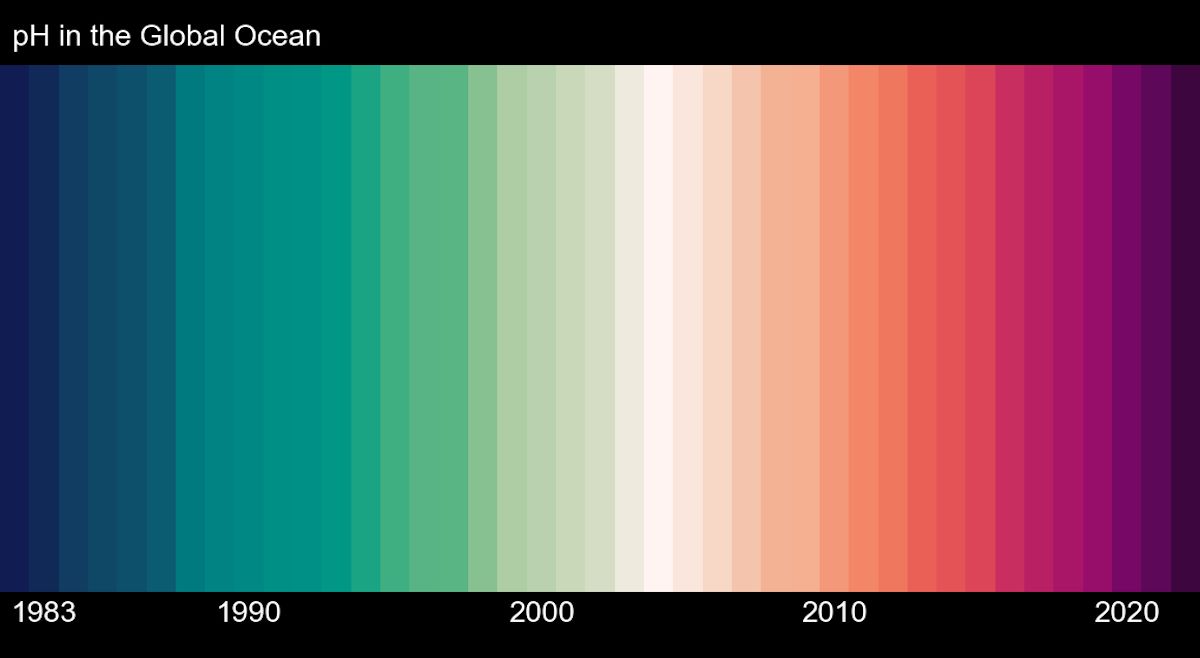 Des bandes colorées révèlent l'urgence de l'acidification des océans