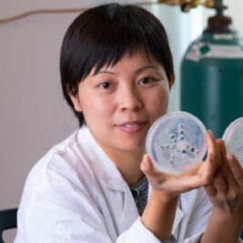 Des chercheurs isolent 3 souches fongiques pour combattre les microplastiques