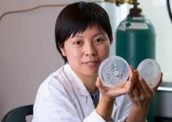 Des chercheurs isolent 3 souches fongiques pour combattre les microplastiques