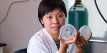 Des chercheurs isolent 3 souches fongiques pour combattre les microplastiques
