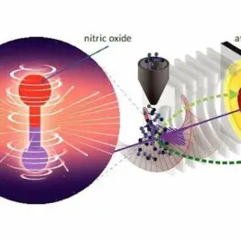 La danse quantique des électrons enfin observée grâce à l'attoclock
