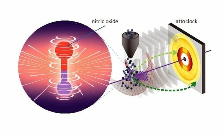 La danse quantique des électrons enfin observée grâce à l'attoclock