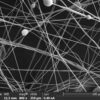 Microfibres : une méthode innovante pour multiplier la production par mille