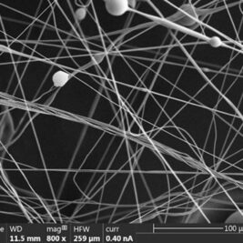 Microfibres : une méthode innovante pour multiplier la production par mille