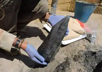 476 000 ans : l'incroyable âge des premières structures en bois