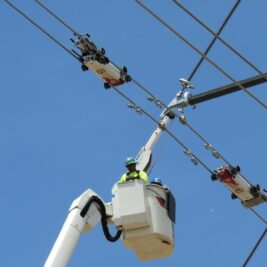 Première au Texas : l'installation robotisée d'écarteurs de ligne et de déflecteurs d'oiseaux