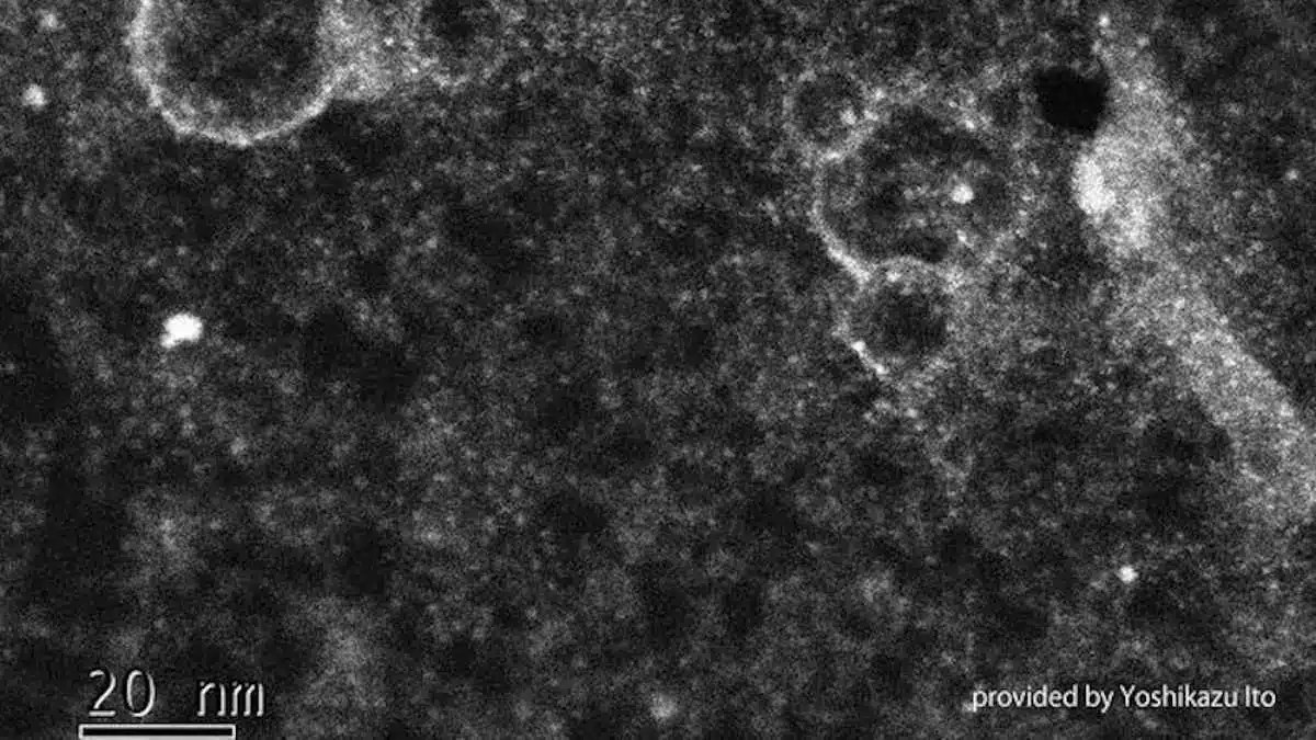 Membrane de graphène : vers une nouvelle génération de piles à combustible ?