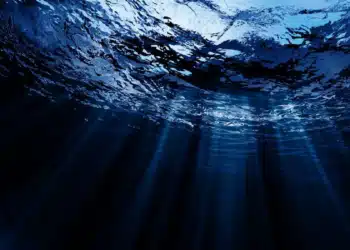 Les abysses marins dévoilent un nouvel espoir contre la pollution plastique