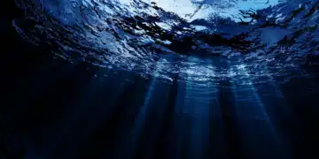 Les abysses marins dévoilent un nouvel espoir contre la pollution plastique