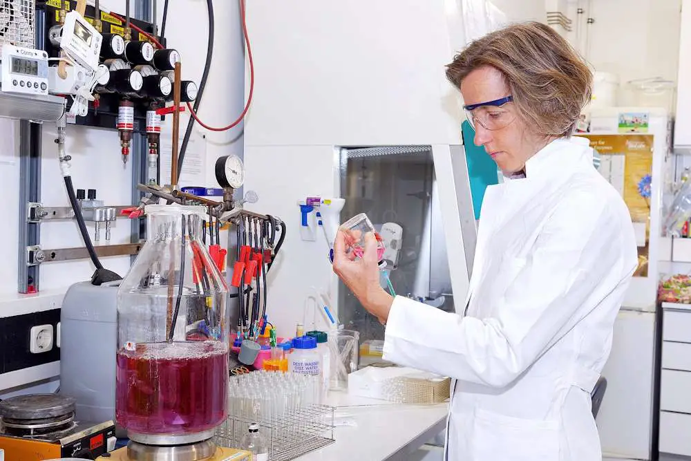 Les abysses marins dévoilent un nouvel espoir contre la pollution plastique 3