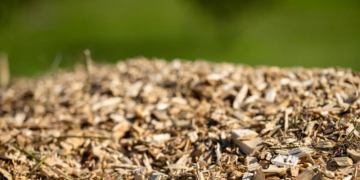 50 mégatonnes de lignine par an : un modèle pour en tirer profit