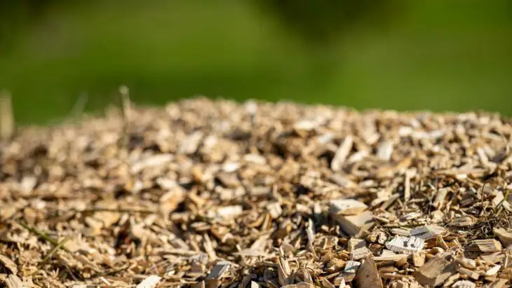 50 mégatonnes de lignine par an : un modèle pour en tirer profit