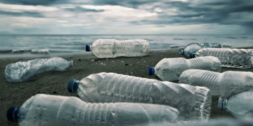 Des bactéries synthétiques pour transformer les déchets plastiques en ressources