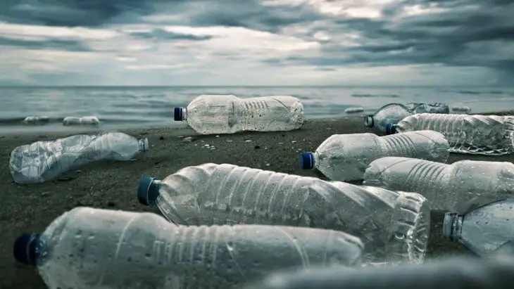 Des bactéries synthétiques pour transformer les déchets plastiques en ressources