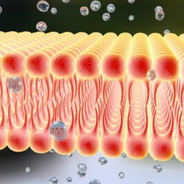 Une membrane résistante jusqu'à 140°C pour une industrie plus verte