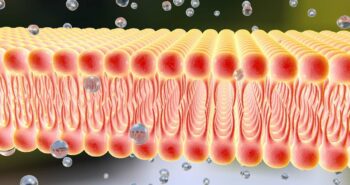 Une membrane résistante jusqu'à 140°C pour une industrie plus verte