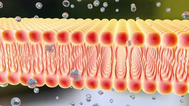 Une membrane résistante jusqu'à 140°C pour une industrie plus verte