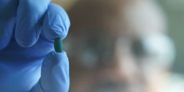 La spiruline génétiquement modifiée, une arme secrète contre le méthane