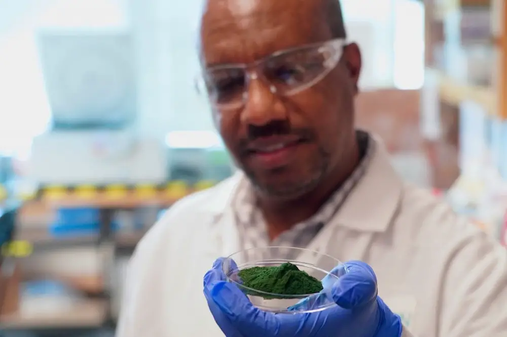 La spiruline génétiquement modifiée, une arme secrète contre le méthane 2
