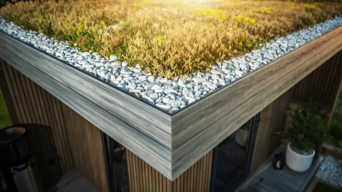Toits froids, verts ou solaires : lequel est le plus efficace pour réduire la chaleur urbaine ?