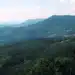 Les forêts tropicales perdent leur statut de puits de carbone : découvrez pourquoi