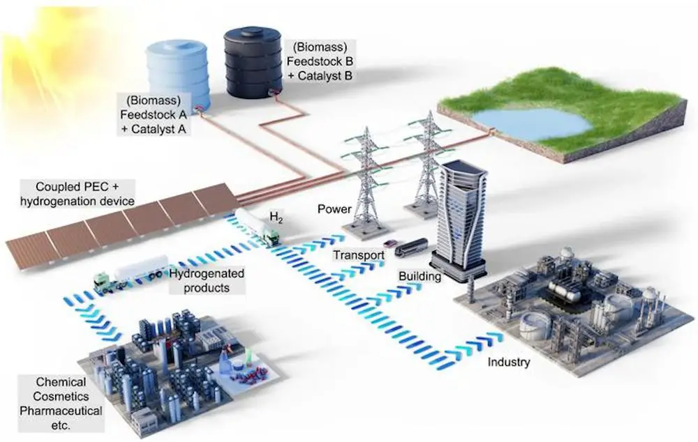 La clé de la rentabilité de l'hydrogène vert : la co-production avec la biomasse 2