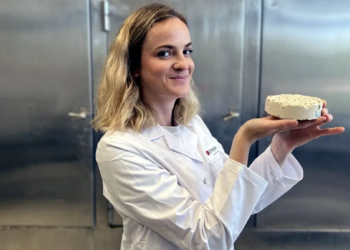 L'argile : une alternative durable aux matériaux de construction traditionnels