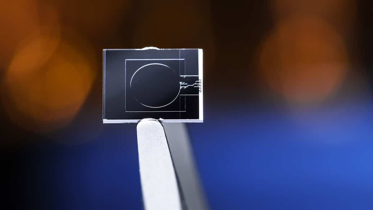 Des puces photoniques pour remplacer les gyroscopes