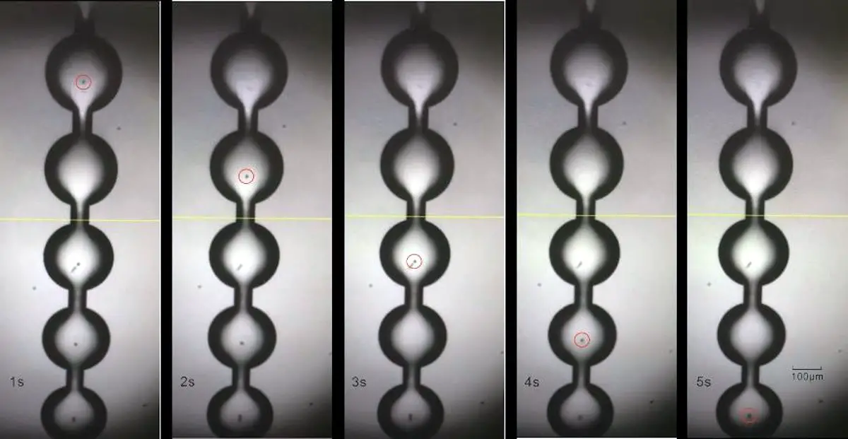 Mise au point d'un système acoustique de piégeage en 3D de microparticules dans un liquide en mouvement