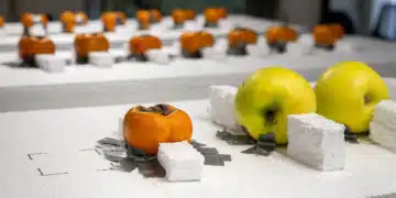 Une technologie innovante pour réduire le gaspillage alimentaire