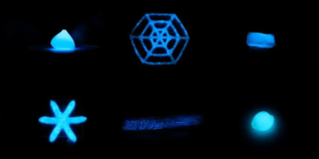 Des matériaux bioluminescents : une lumière qui dure 5 mois