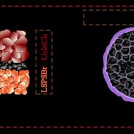 L'interface cathode - électrolyte : un enjeu majeur pour les batteries tout solide