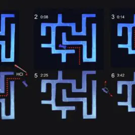 Des microrobots biocompatibles et non toxiques pour le corps humain