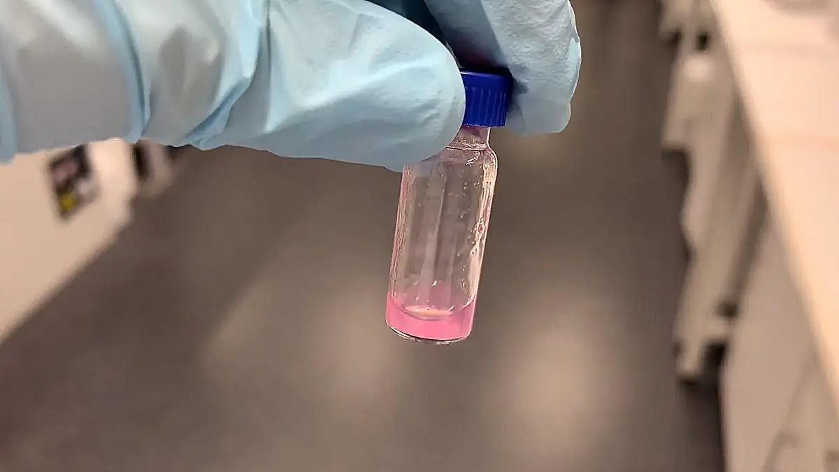 Trpzip : l'hydrogel auto-cicatrisant idéal pour l'impression 3D biologique